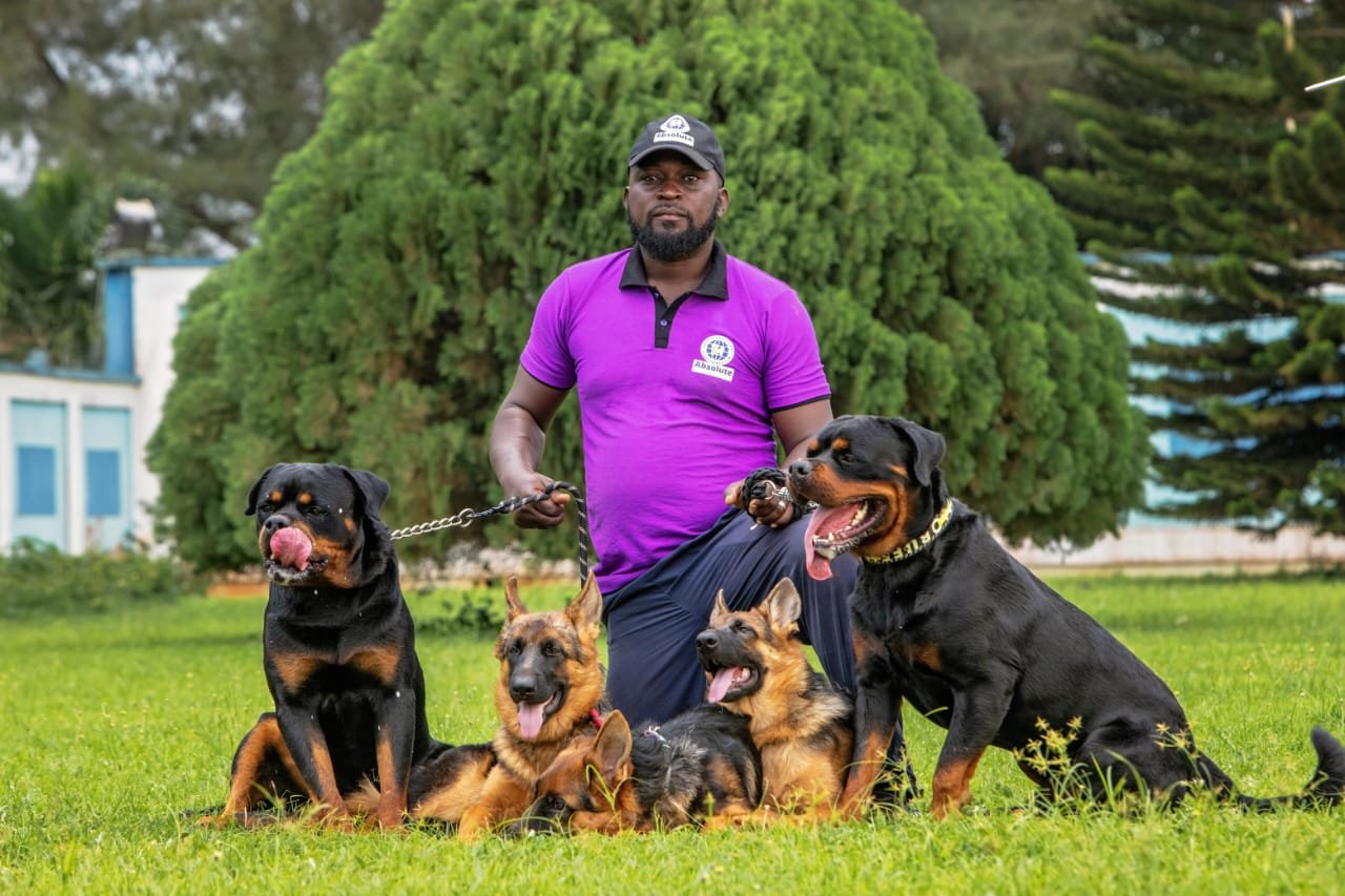 Trainer standing with dogs